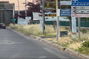 A_Viterbo_erba_alta_e_incuria_