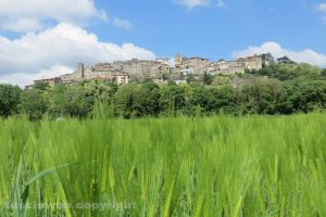 A_castiglione_in_teverina_il_c