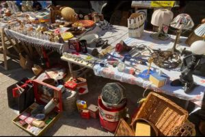 Bassano_in_teverina_ospita_il_