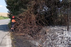 Incendio_in_via_della_Mainella