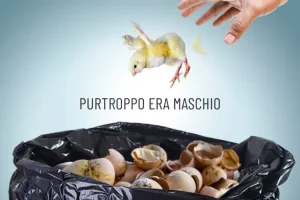 La_legge_contro_l%E2%80%99uccisione_de