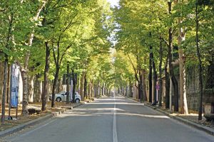 Lutto_a_viterbo_e_vitorchiano_