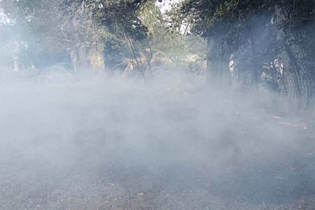 Montefiascone%2C_quattro_interve