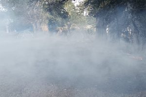 Montefiascone%2C_quattro_interve