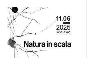 Natura_in_scala_a_Viterbo%3A_res