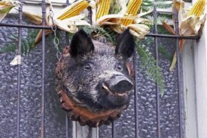 Sagra_del_cinghiale_a_brezzo_d