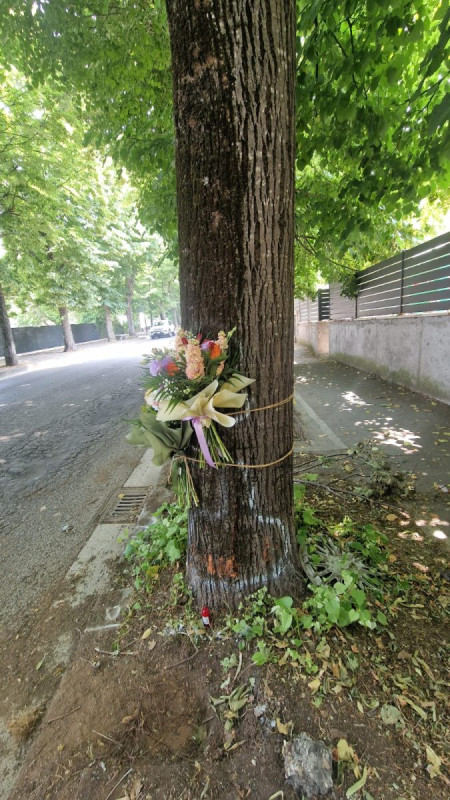 Schianto_mortale_in_moto_a_Vit