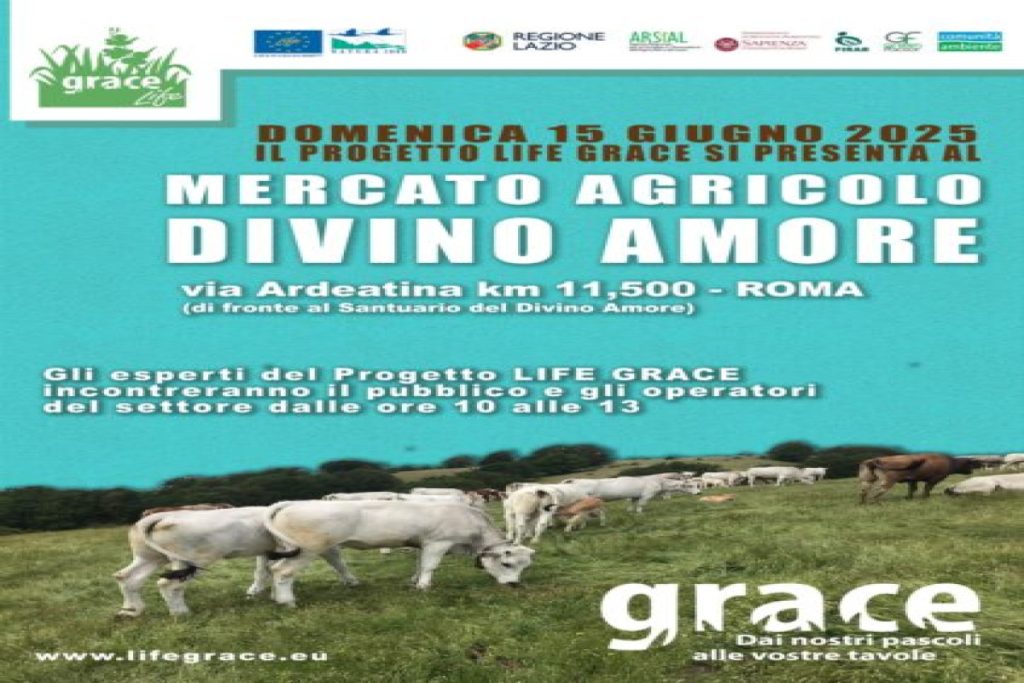 il_progetto_life_grace_incontr